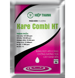 CÔNG TY CỔ PHẦN HIỆP THANH GROUP